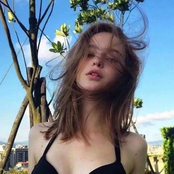 小森林素材铺 第15张.jpeg