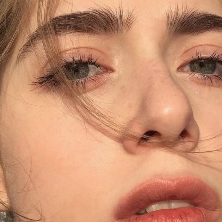 小森林素材铺 第125张.jpg